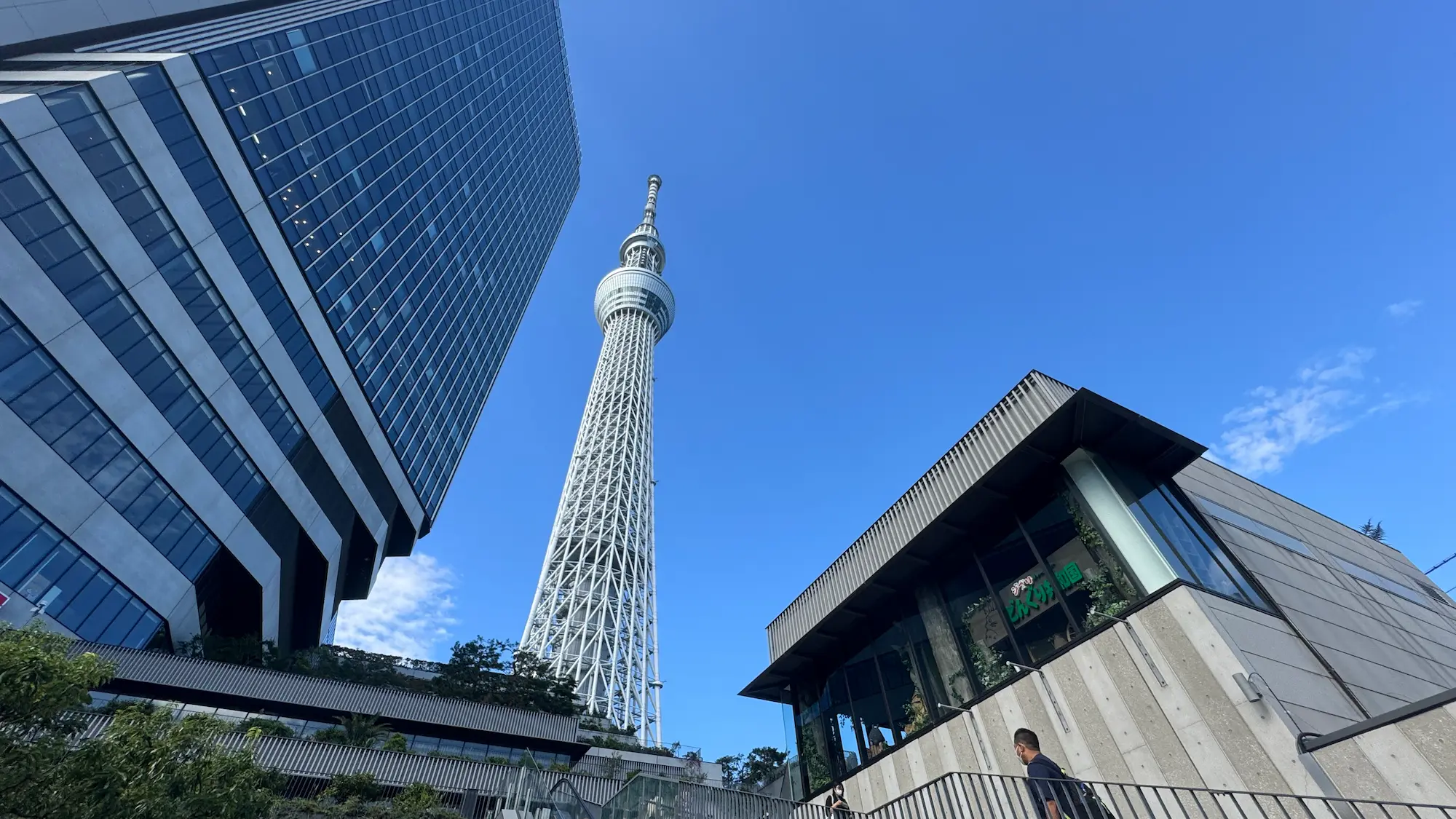 東京スカイツリー全景