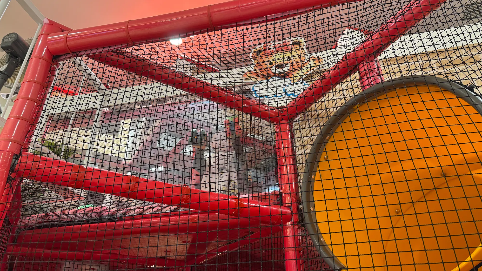 ズーアドベンチャー幕張新都心で遊ぶ４歳