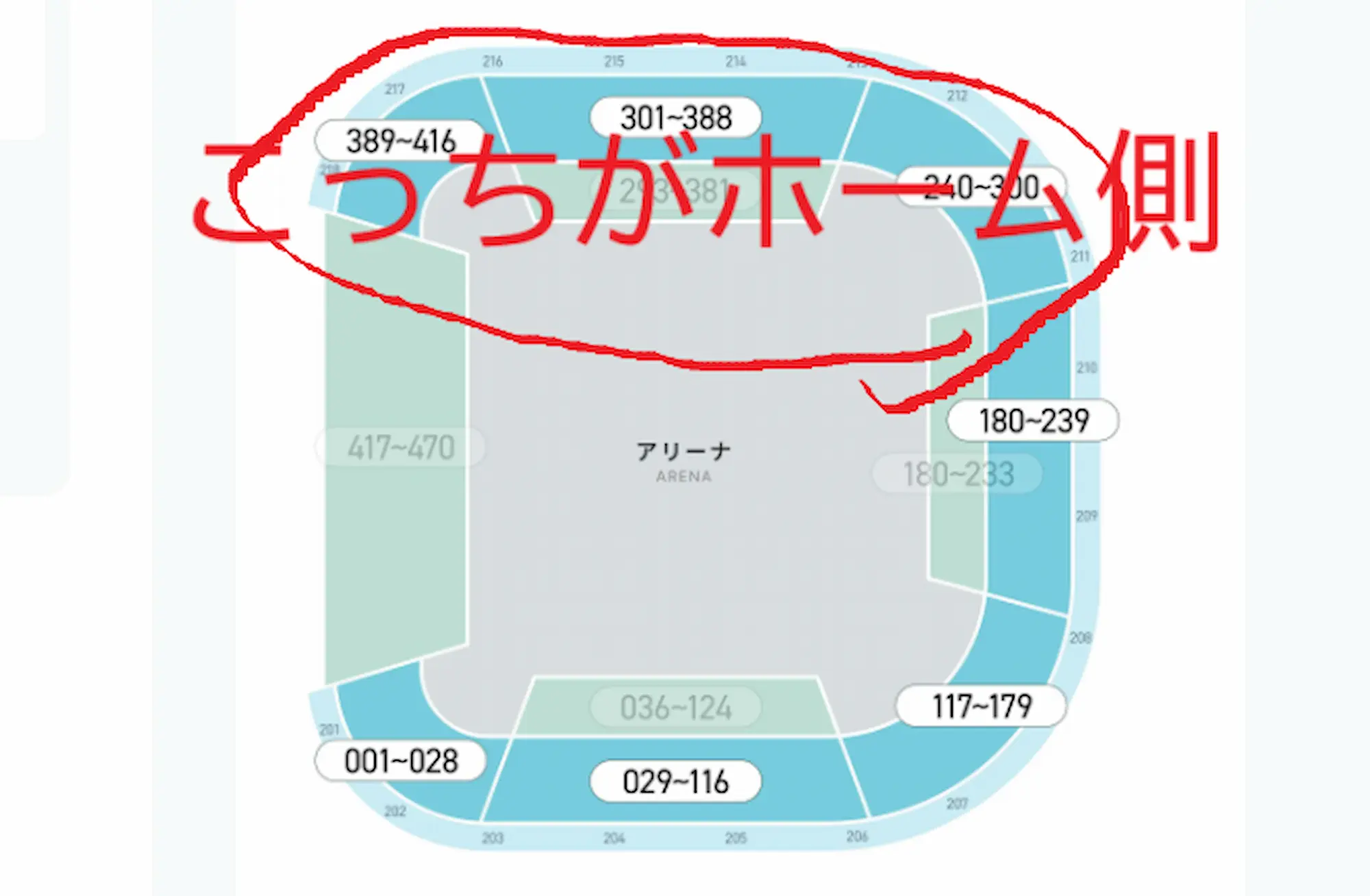 子連れで行った千葉ジェッツ戦ララアリーナ座席