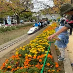 川口市立グリーンセンターミニ鉄道写真