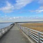 子連れに最適な検見川浜突堤